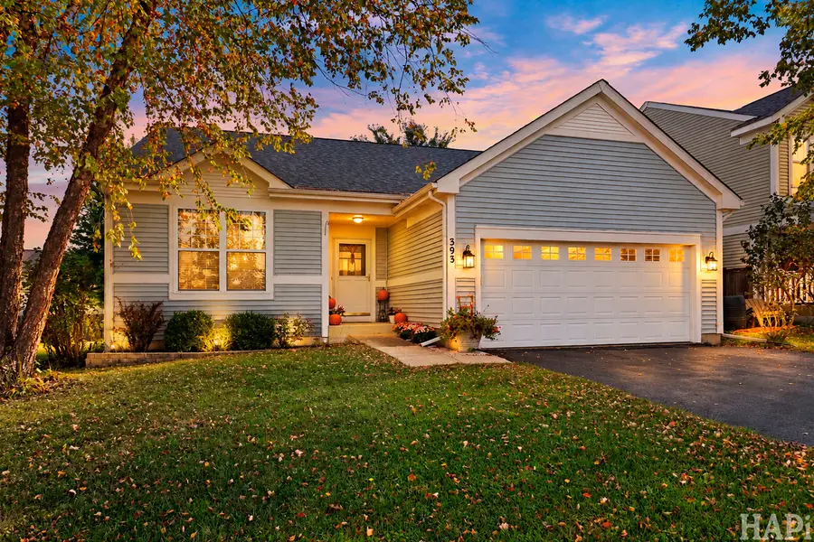 393 Switchgrass Drive, Round Lake, IL 60073 - #2