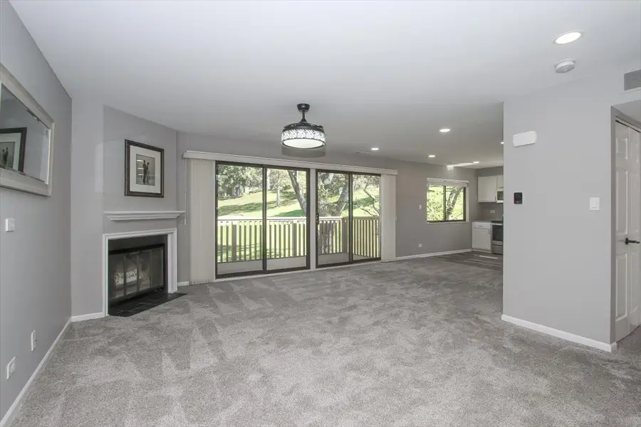746B Oak Hill Road #C485SFR, Lake Barrington, IL 60010 - #2