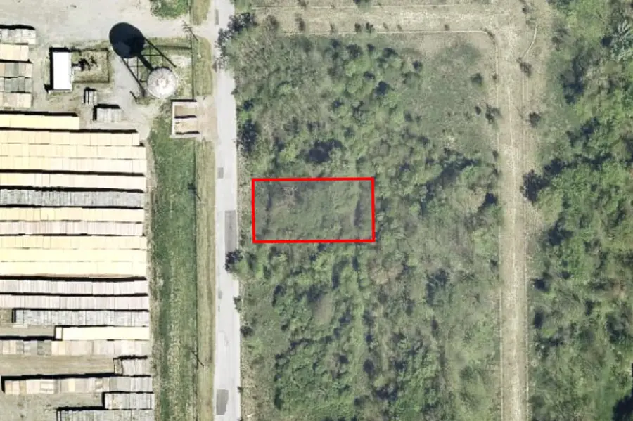 15317 S Wallace Avenue, South Holland, IL 60473 - #2