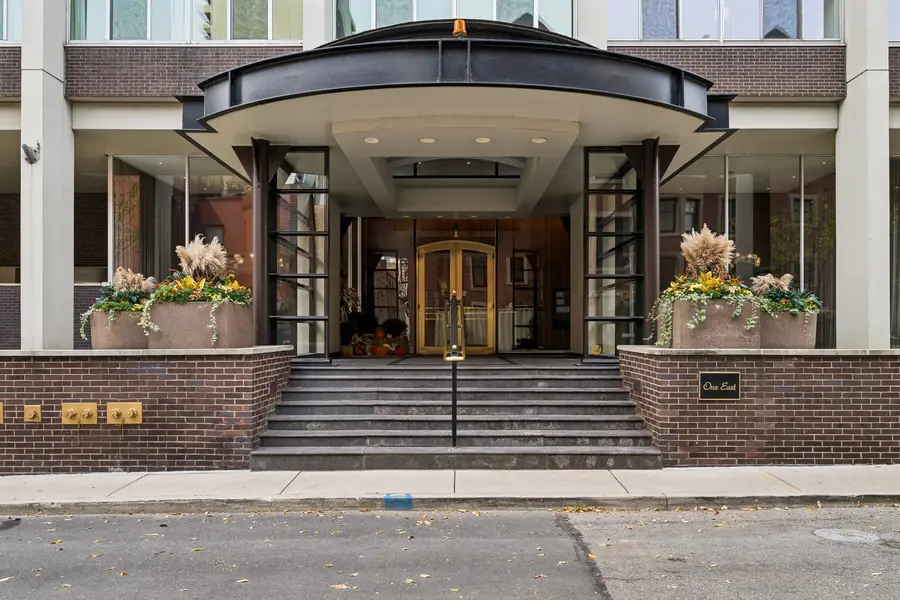 1 E Schiller Street #20C, Chicago, IL 60610 - #2