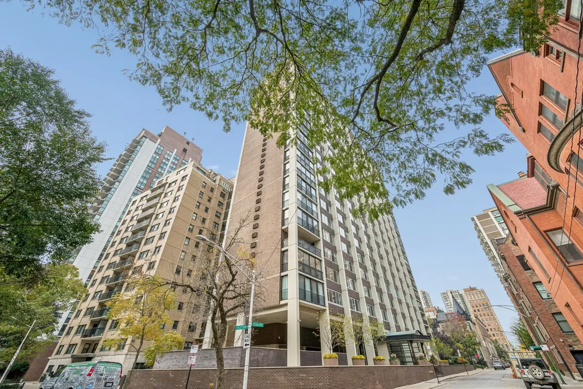 1 E Schiller Street #20D, Chicago, IL 60610 - #1