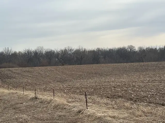 1 235th Street, Le Claire, IA 52753 - #2