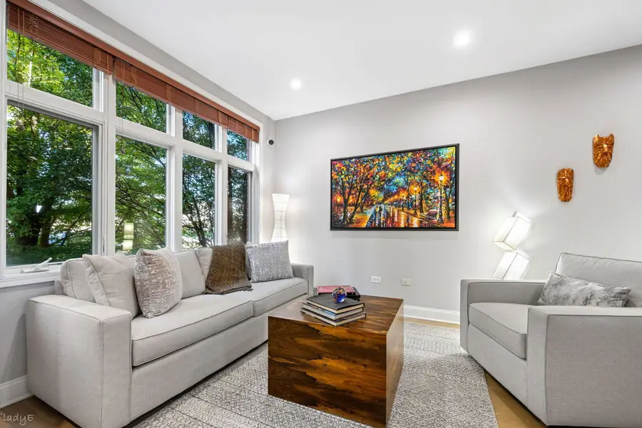 327 E 17th Street, Chicago, IL 60616 - #2