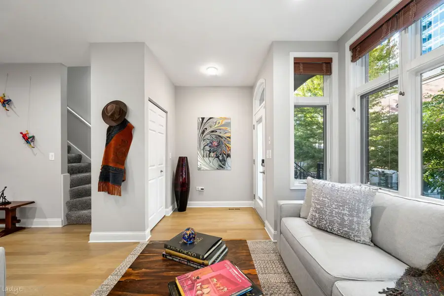 327 E 17th Street, Chicago, IL 60616 - #3