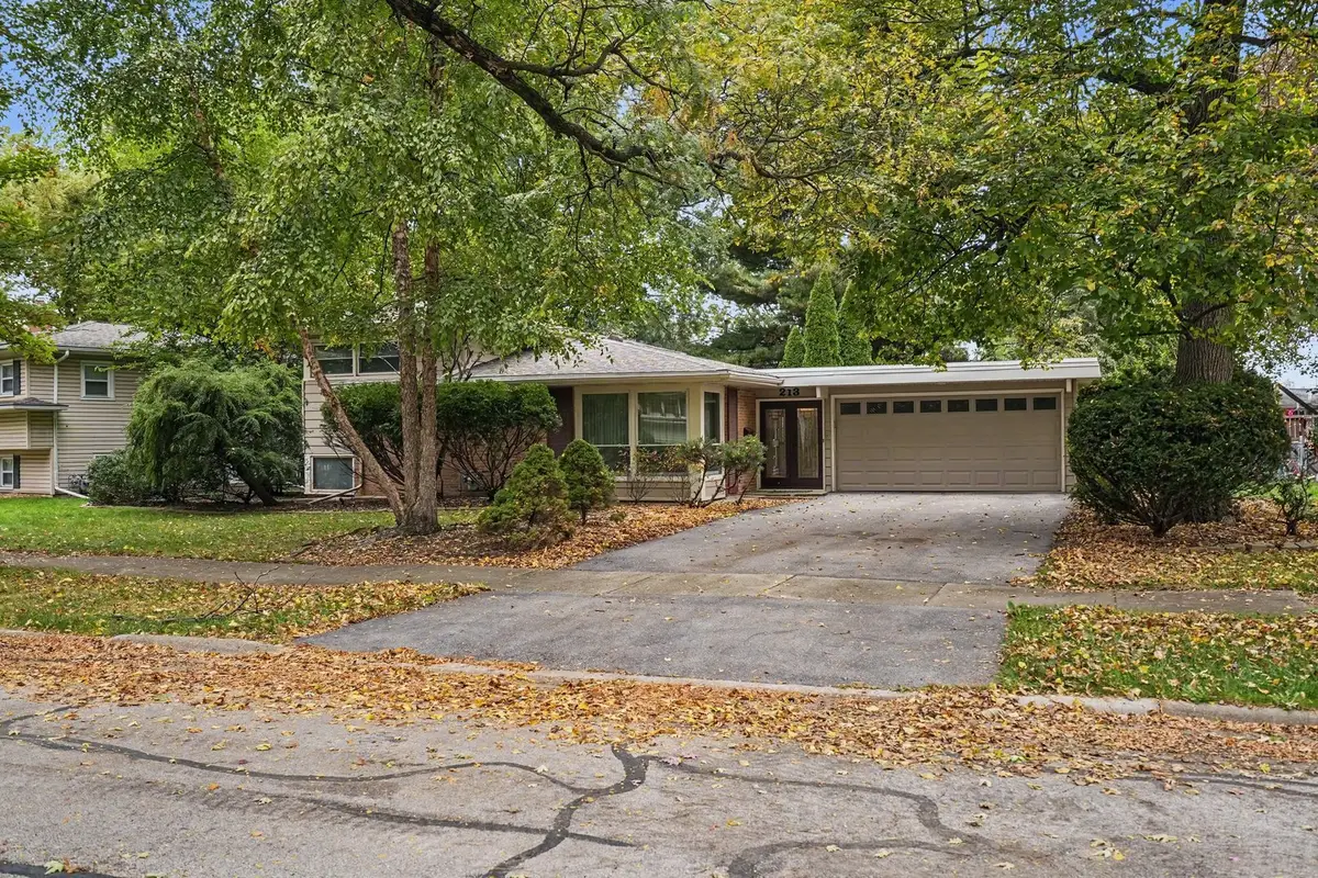 213 Triton Lane, Naperville, IL 60540 - #1