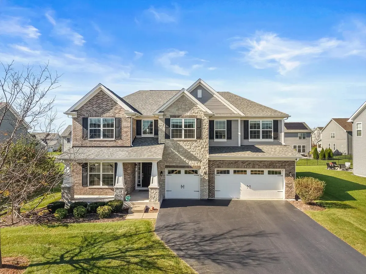 12326 Limerick Lane, Plainfield, IL 60585 - #1