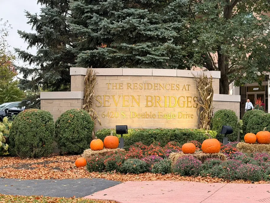 6420 Double Eagle Drive #302, Woodridge, IL 60517 - #2