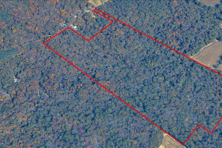 000 Fowler Road, Marion, IL 62959 - #2