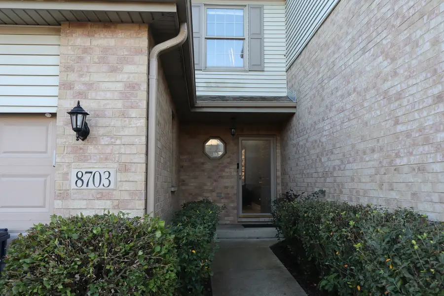 8703 Powers Court, Orland Park, IL 60462 - #2