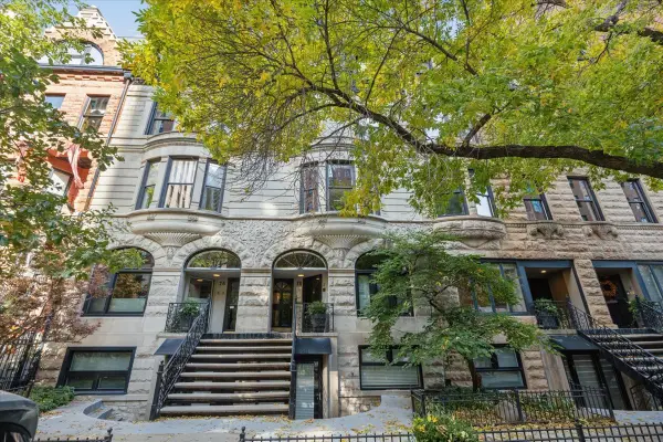 78 E Elm Street #3, Chicago, IL 60611