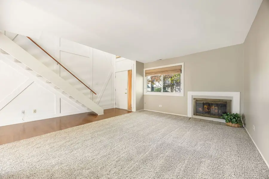 6459 Nash Street #6459, Downers Grove, IL 60516 - #3
