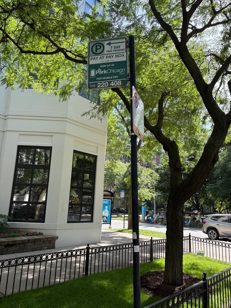 33 W Delaware Place #P335, Chicago, IL 60610 - #3