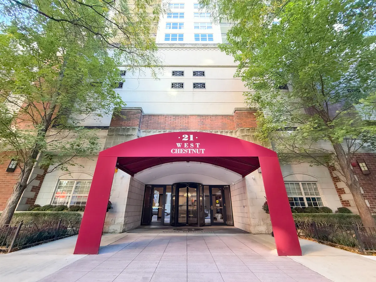 21 W Chestnut Street #510, Chicago, IL 60610 - #1