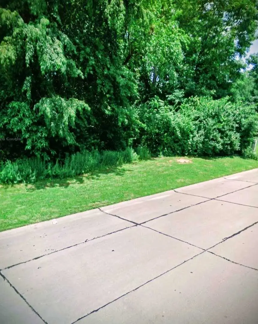 516 Springwood Drive, Belleville, IL 62220 - #3