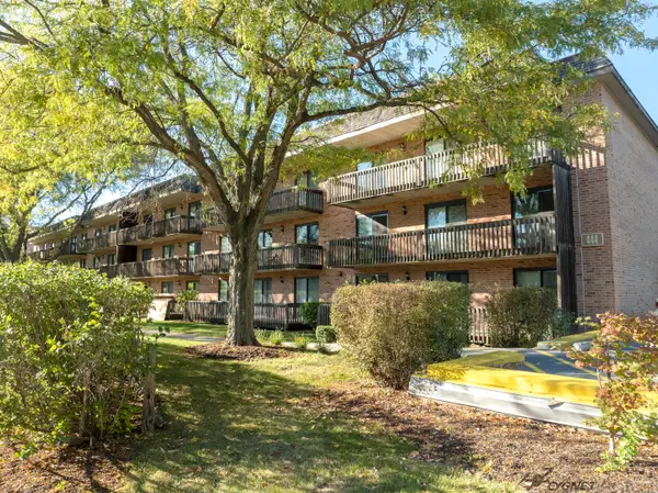 444 Redondo Drive #202, Downers Grove, IL 60516