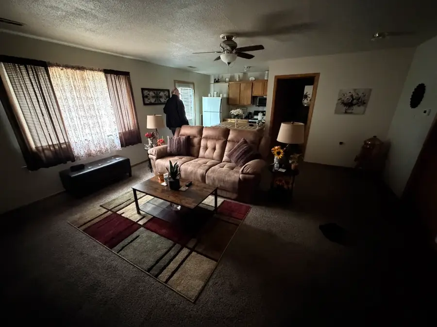 161 N Bailey Avenue, Amboy, IL 61310 - #3