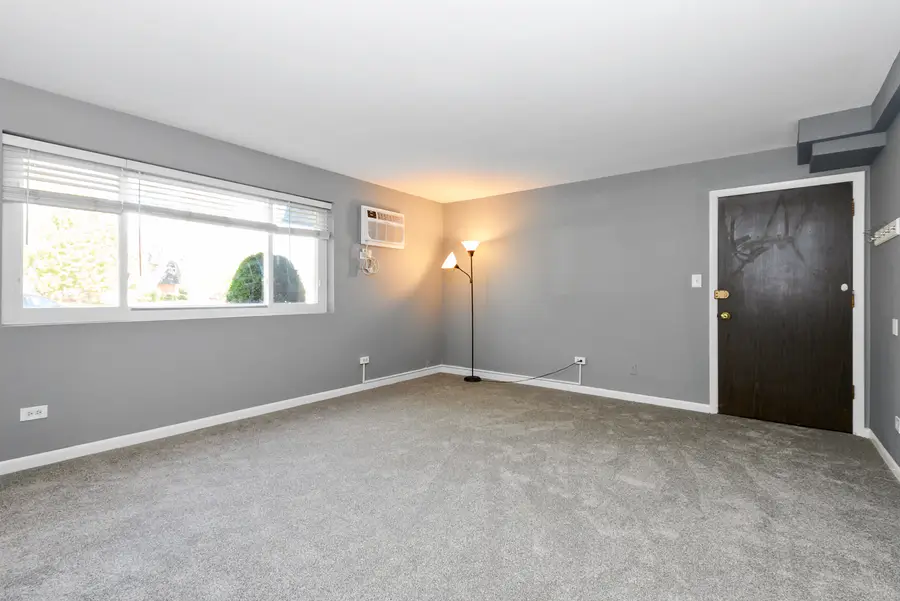 17227 71st Court #2, Tinley Park, IL 60477 - #3