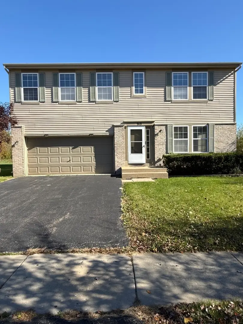 919 Valley Stream Drive, Pingree Grove, IL 60140 - #1