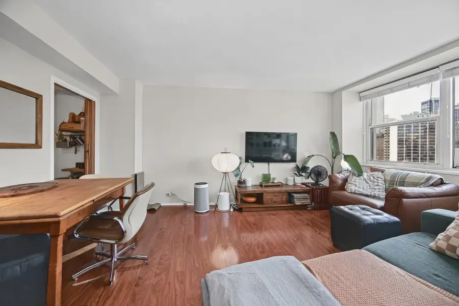 1150 N Lake Shore Drive #18L, Chicago, IL 60611 - #3