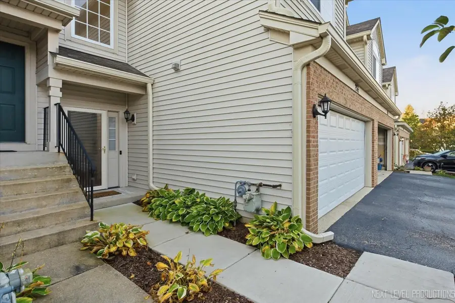 257 Nicole Drive #C, South Elgin, IL 60177 - #3