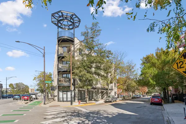 875 N Milwaukee Avenue #2S, Chicago, IL 60642