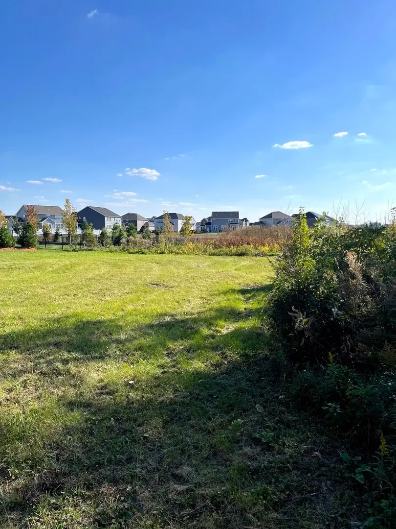 11 Wintergreen Court, Algonquin, IL 60102 - #3
