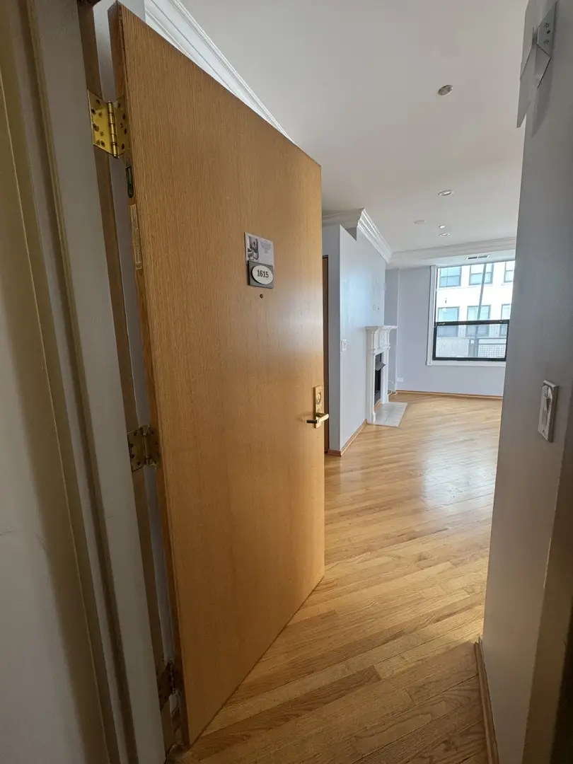 910 S Michigan Avenue #1615, Chicago, IL 60605 - #2
