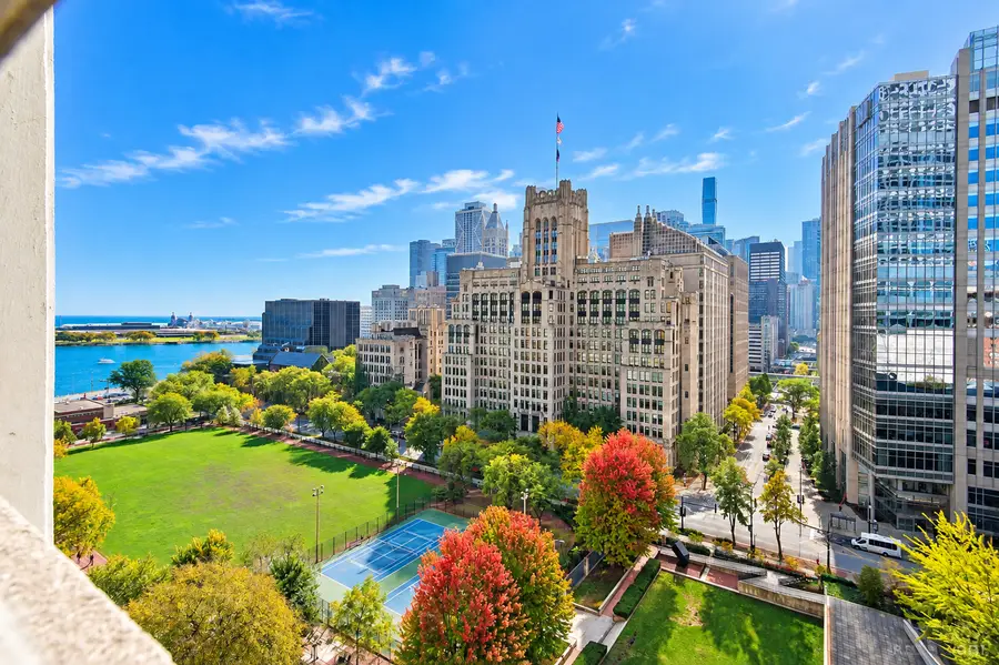 222 E Pearson Street #1704, Chicago, IL 60611 - #2