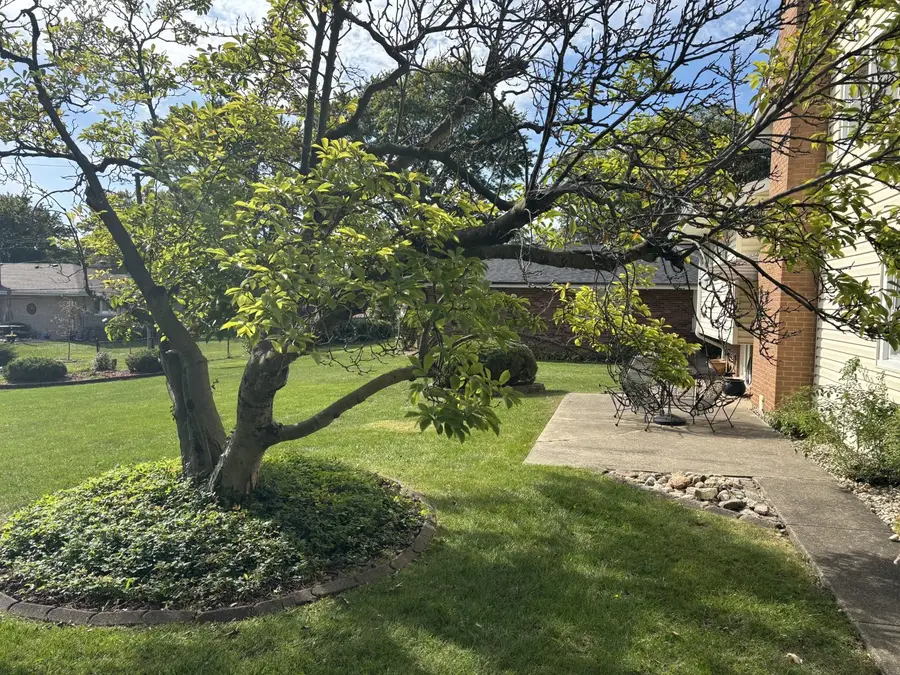 1215 E 171st Court, South Holland, IL 60473 - #3
