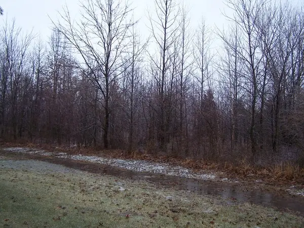 0000 Adams Drive, Marion, IL 62959