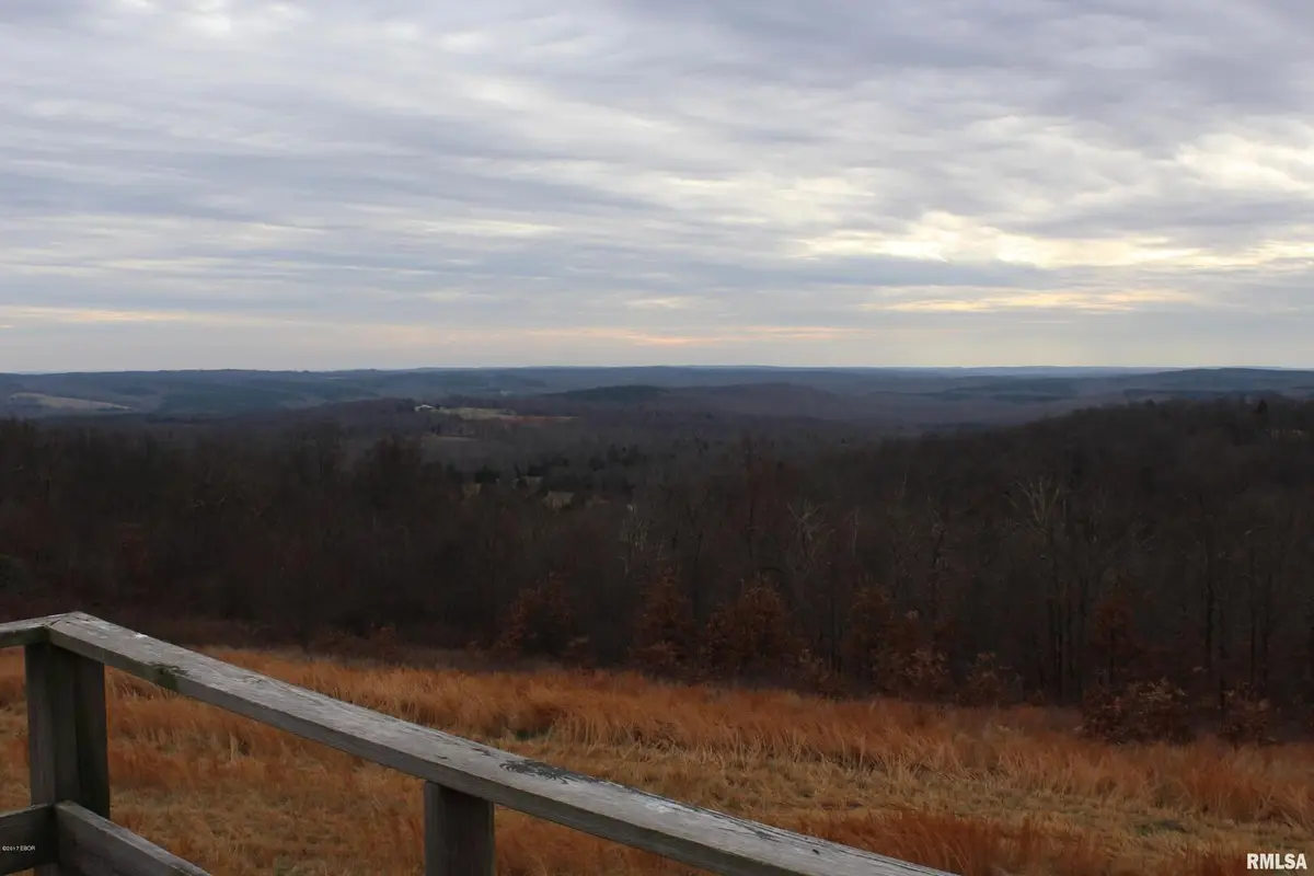 0000 Bruce Johnson Road, Herod, IL 62947 - Image #1