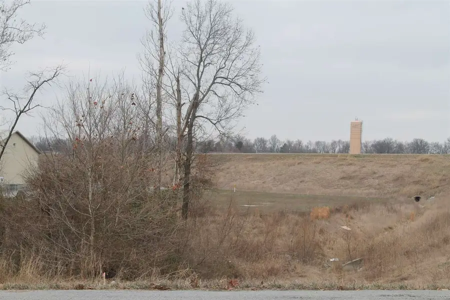 0006 Donna Drive, Crainville, IL 62918 - #2