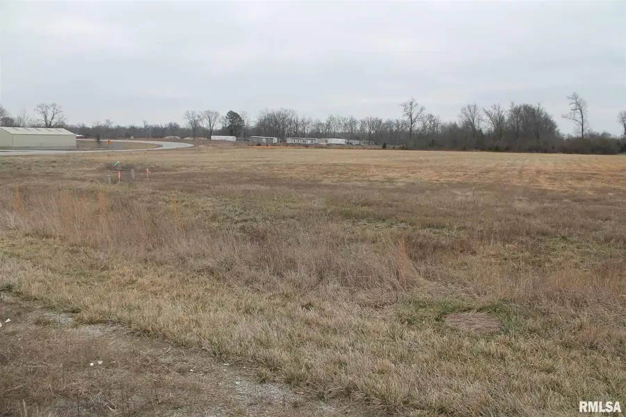 0007 Donna Drive, Crainville, IL 62918 - #2