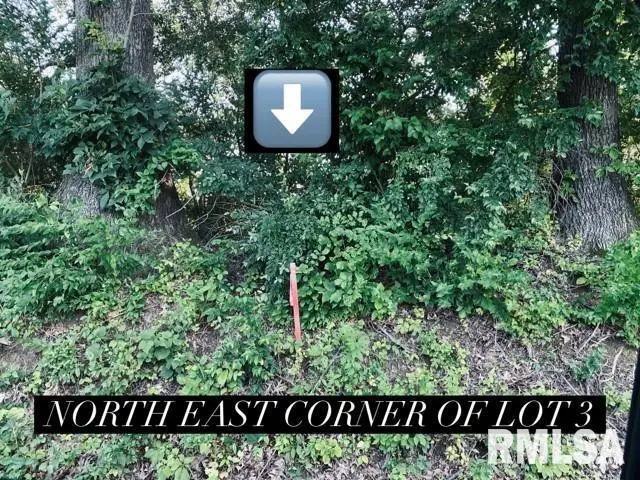 Lot 4 Falcon Road, Carbondale, IL 62901 - Image #2