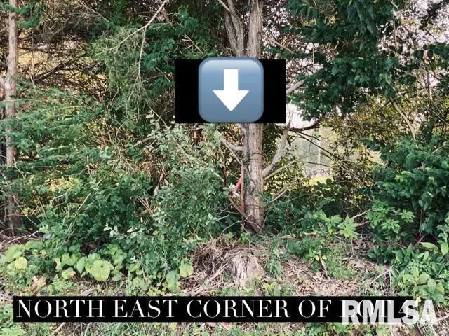 Lot 4 Falcon Road, Carbondale, IL 62901 - Image #3