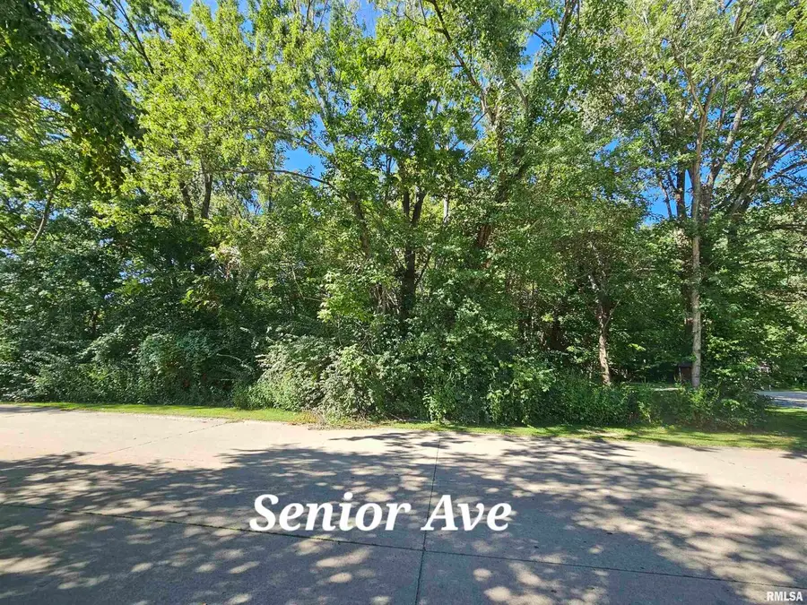 TBD Senior Avenue, Vienna, IL 62995 - Image #2