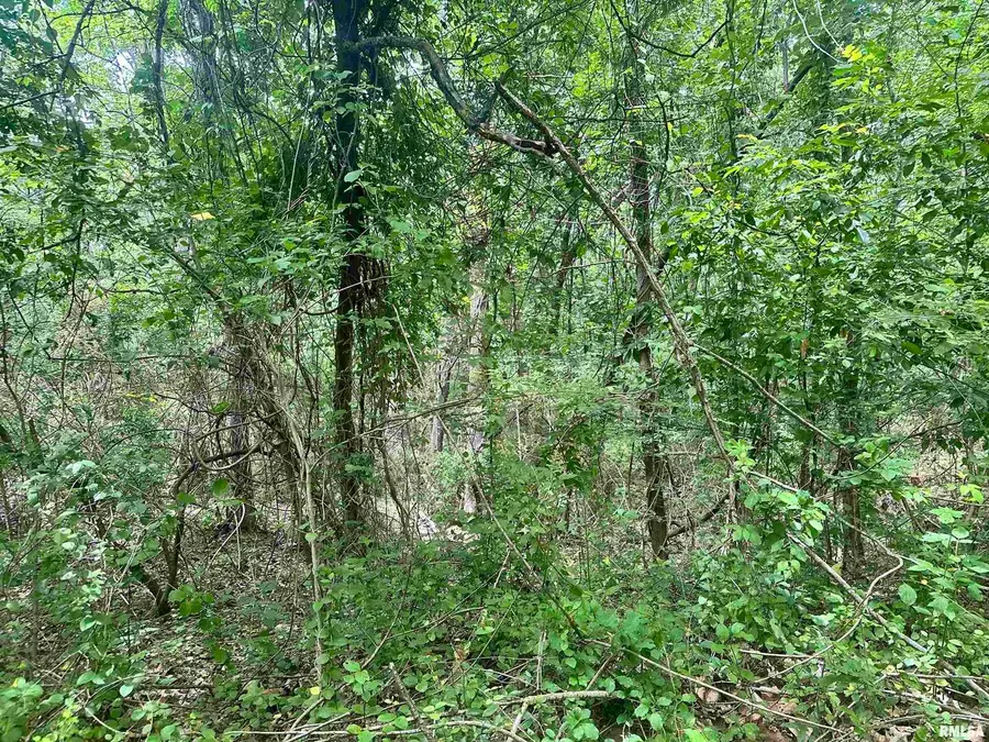 000 Knob Creek Road, Carbondale, IL 62903 - #3