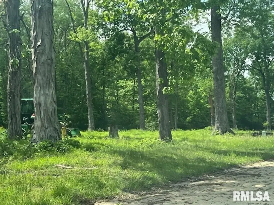 3601 (Lot 9) Ridge Crest Drive, Mount Vernon, IL 62864 - #2