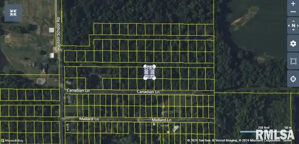 tbd Mallard Drive, , IL 62918