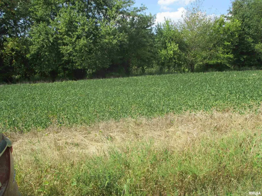 0000 Frisco Road, Ewing, IL 62836 - Image #3