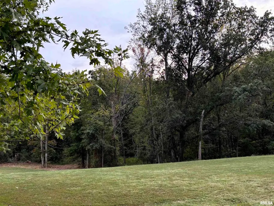 Lot 7 E Cedar Hills, Mount Vernon, IL 62864 - #3