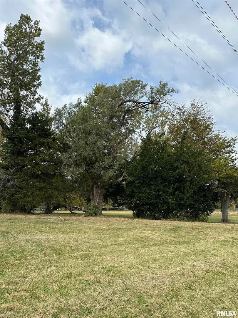 1223 S Washington Street, Du Quoin, IL 62832 - Image #2