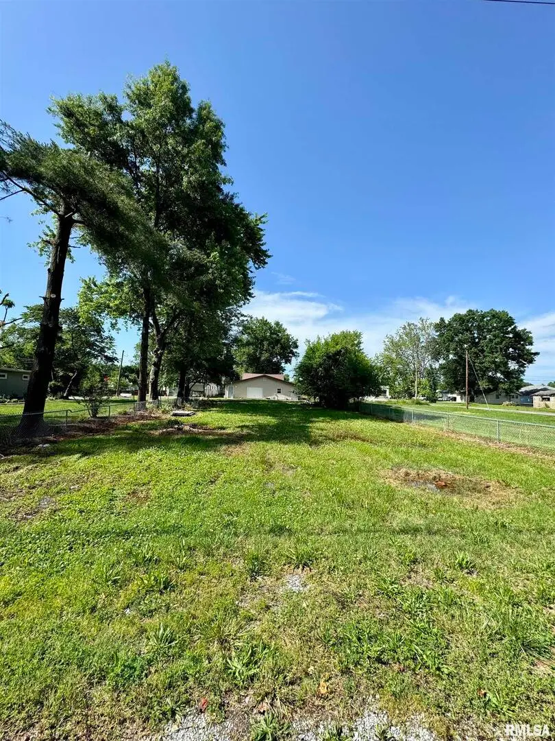 1203 W Elm Street, West Frankfort, IL 62896 - Image #2