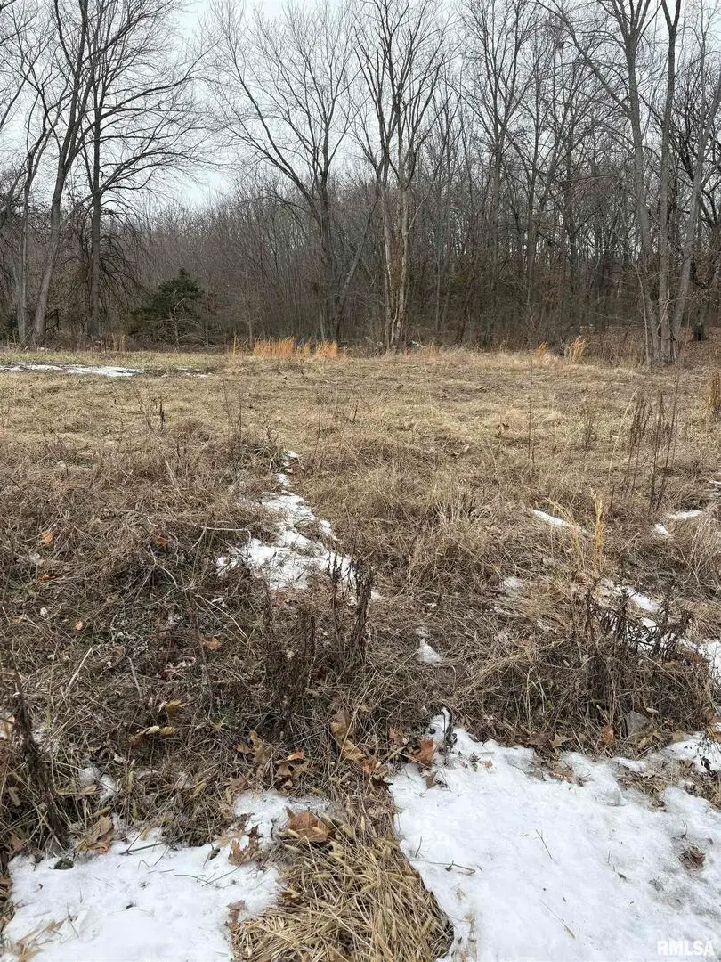 909-911 S Wilson Street, Benton, IL 62812 - Image #1