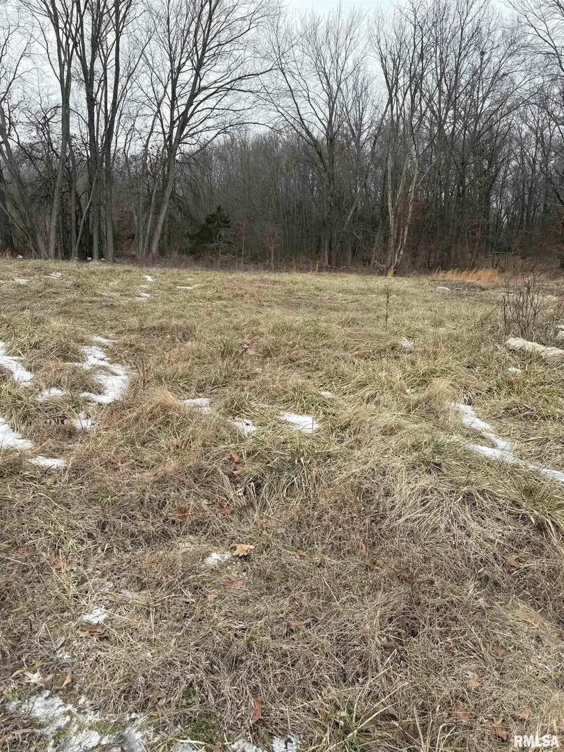 909-911 S Wilson Street, Benton, IL 62812 - Image #3