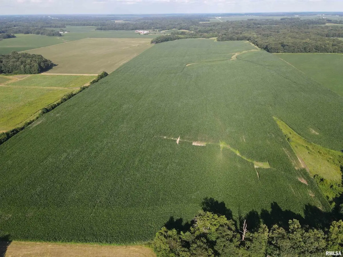 000 E County Road 900 Road, Montrose, IL 62445 - #1