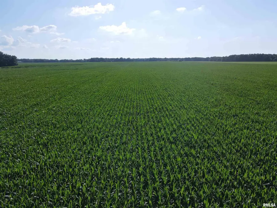 000 E County Road 900 Road, Montrose, IL 62445 - #2