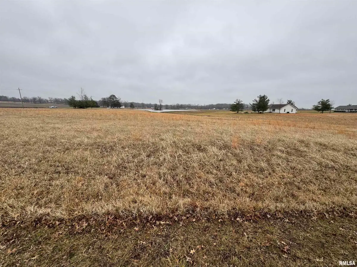 Lot 13 Dove Lane, Eldorado, IL 62930 - #1