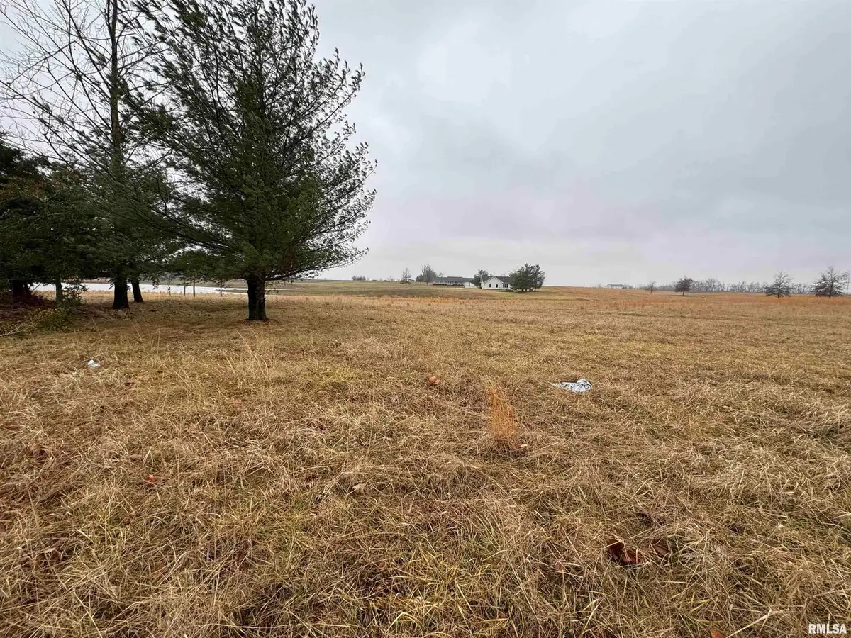 Lot 1&2 Raleigh Road, Eldorado, IL 62930 - #1