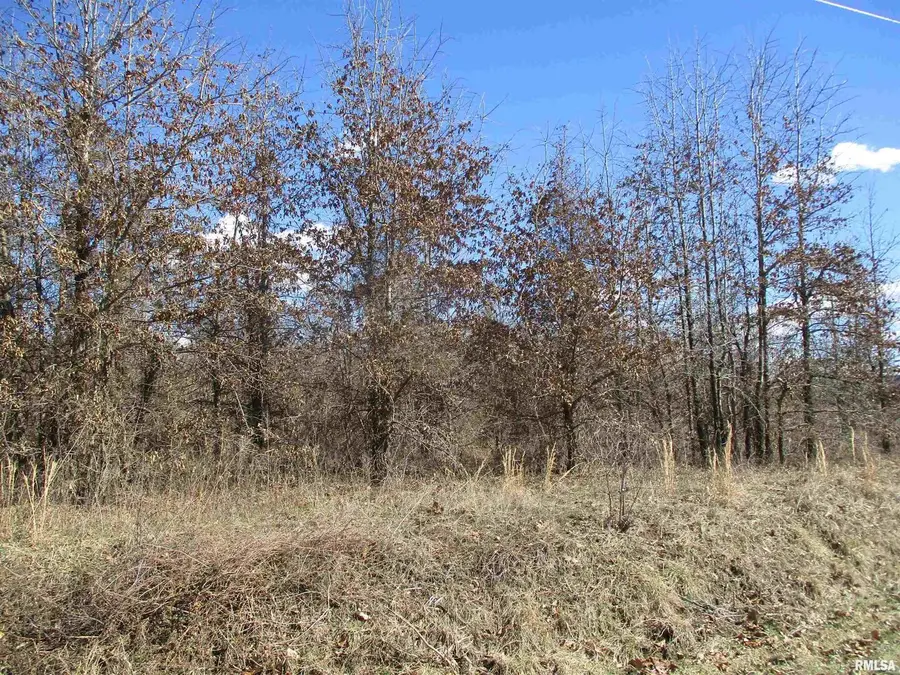 0000 Antioch Road, West Frankfort, IL 62896 - Image #2